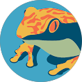 Joey F Avatar